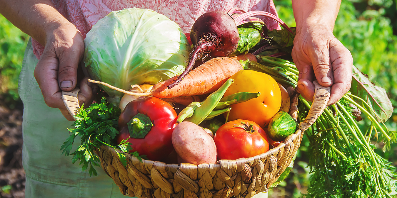 How to Harvest Container Garden Vegetables