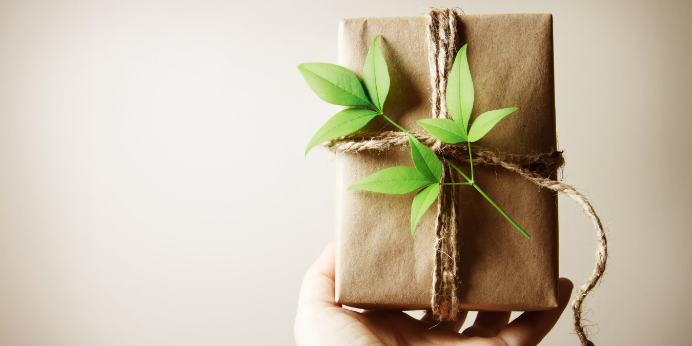 A Gift Guide for Gardeners