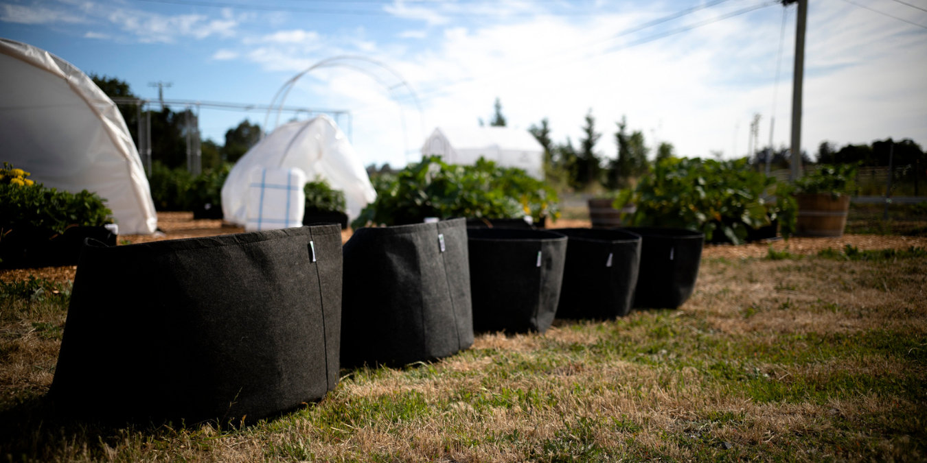 Prepare Your Garden Containers for Spring