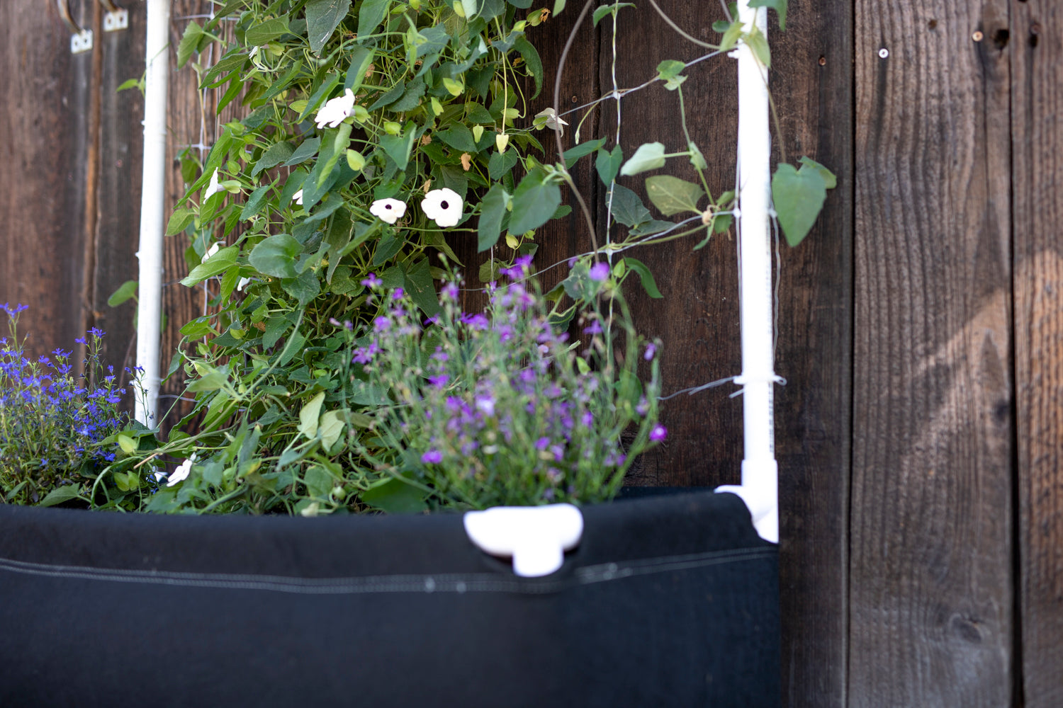 Garden Trellis & Plant Support | GeoPot Garden Supplies  Geopot
