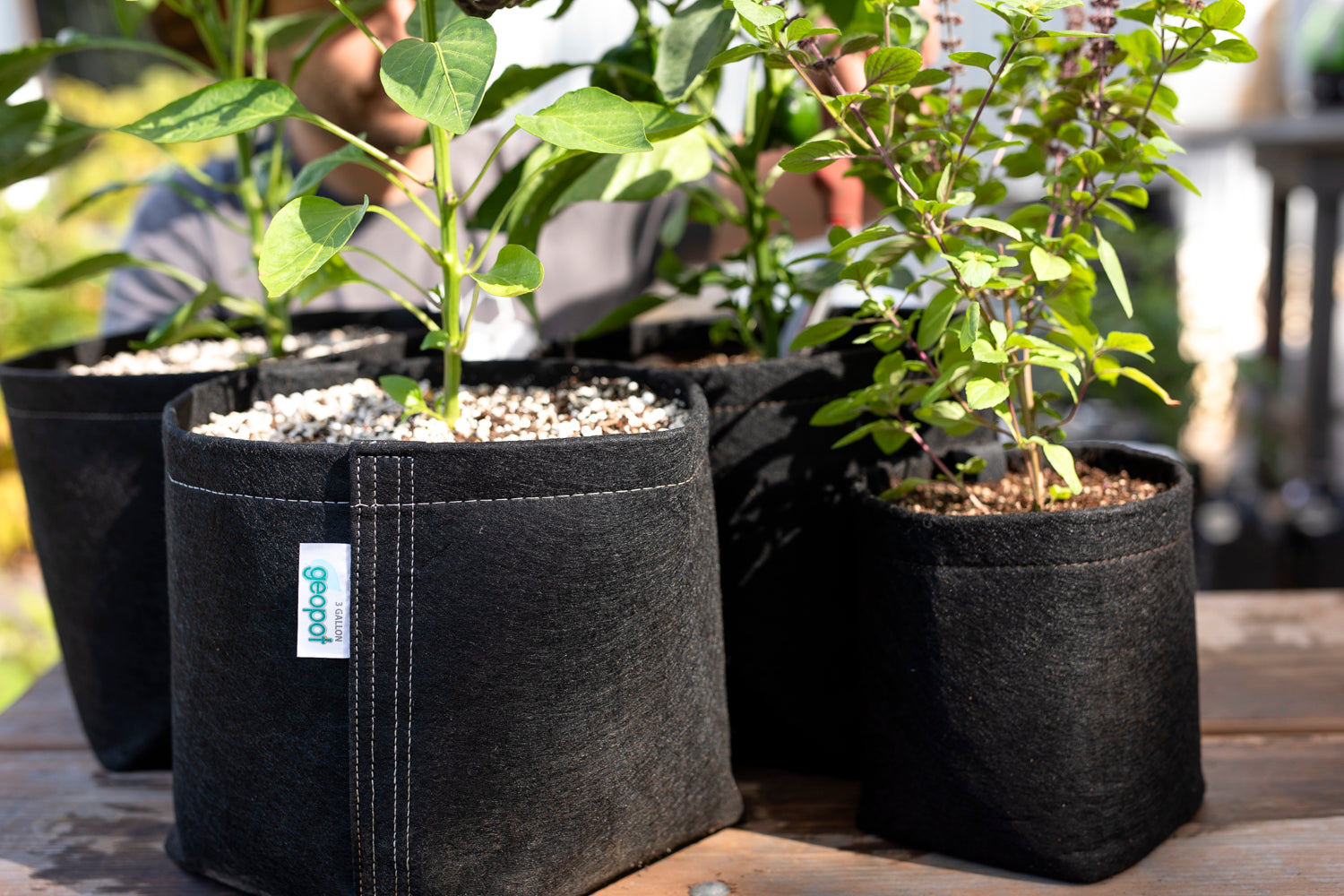 A collection of geopot fabric pots on a picnic table with healthy plants.