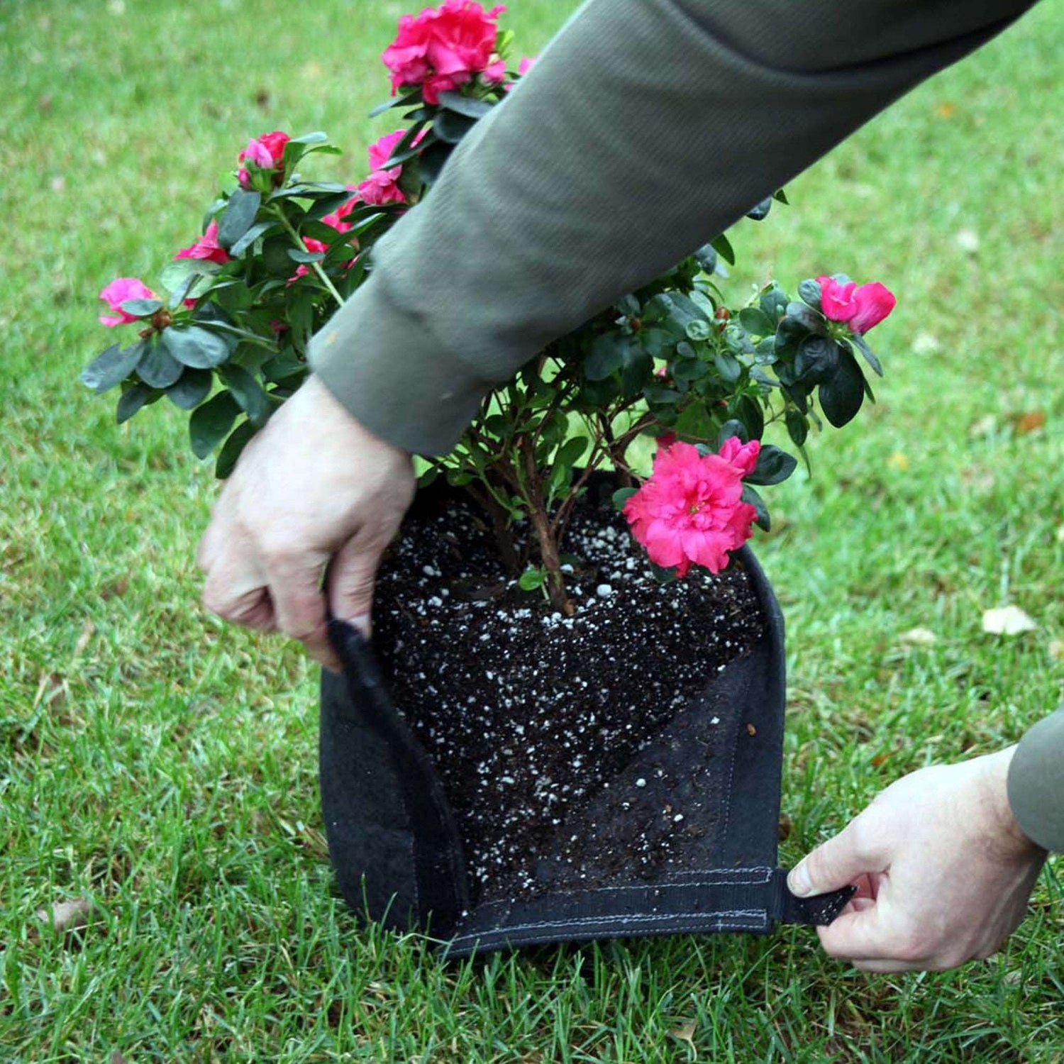 GeoPot Fabric Pot with Velcro - Black geopot