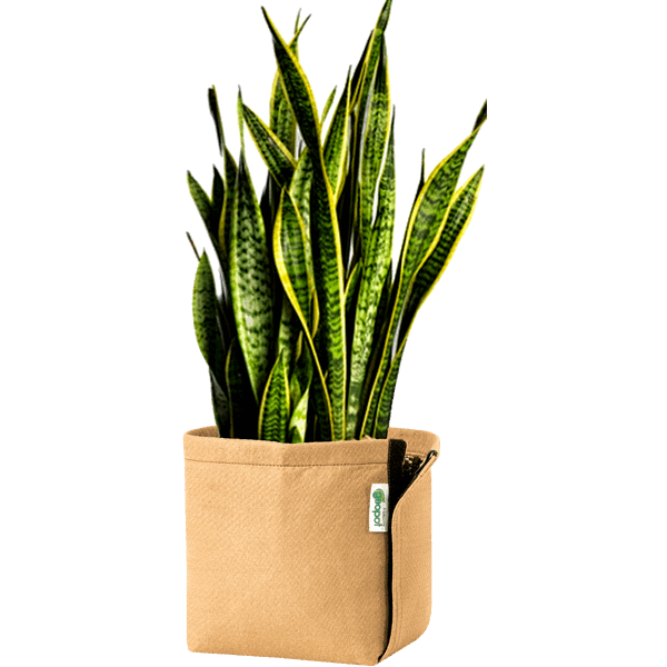 GeoPot Fabric Pot with Velcro - Tan geopot