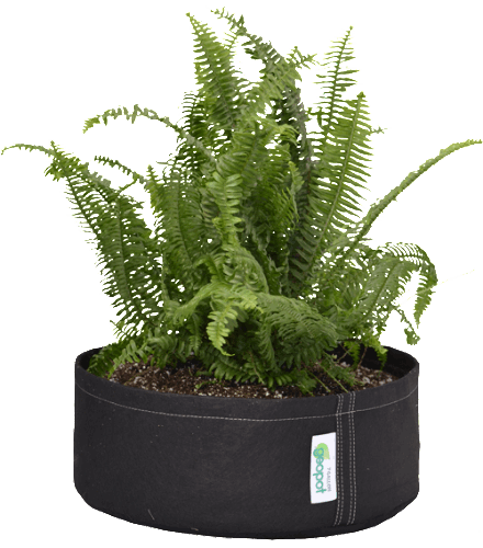GeoPot Fabric Pot SquatPot - Round Bottom geopot
