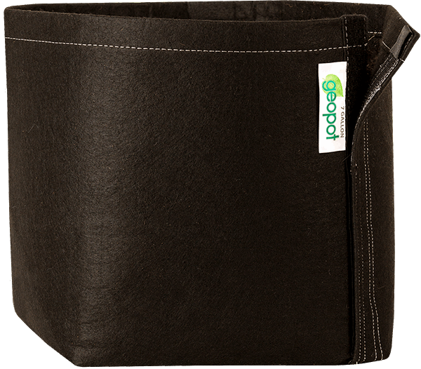 GeoPot Fabric Pot with Velcro - Black geopot