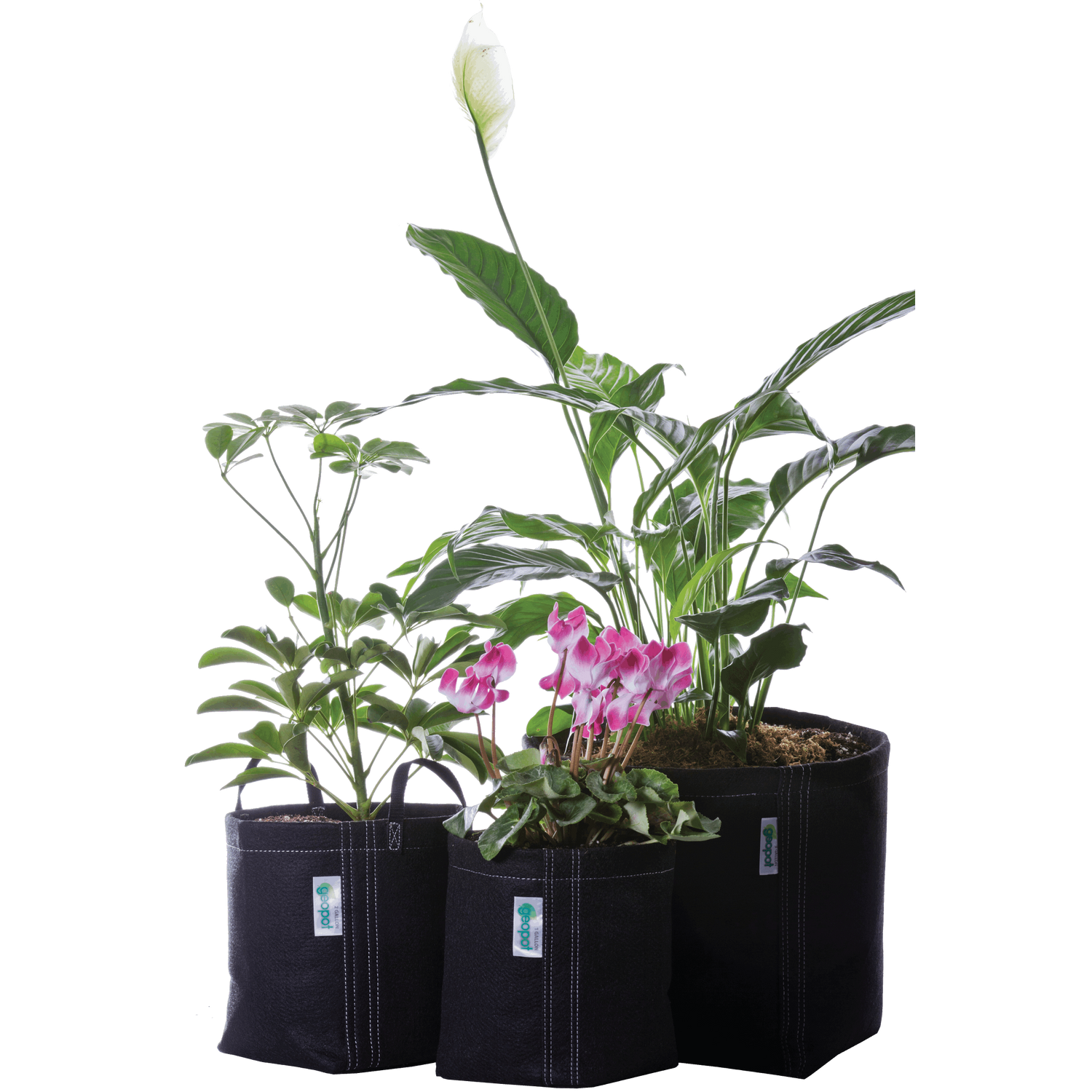 GeoPot Fabric Pot Garden Kit geopot