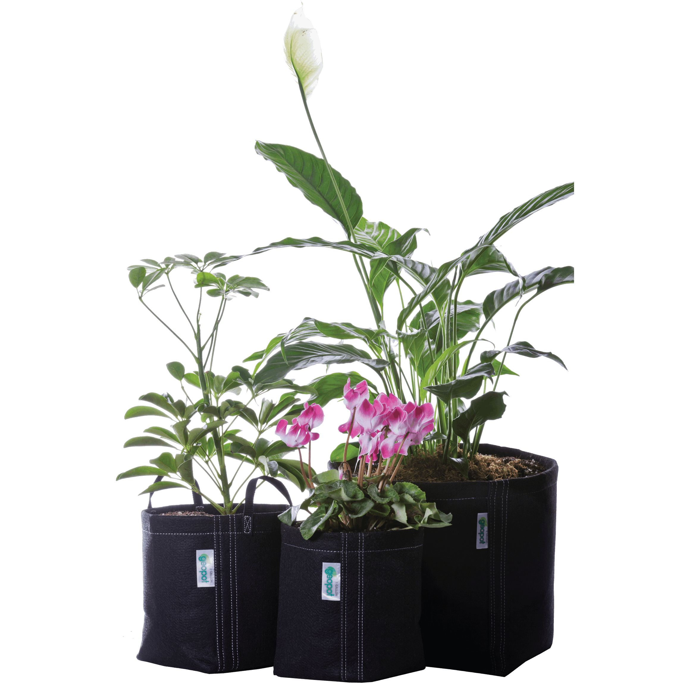 GeoPot Fabric Pot Garden Kit geopot