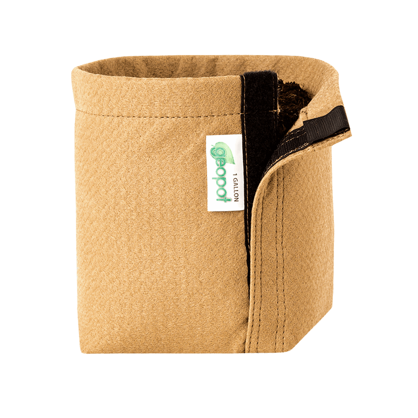 GeoPot Fabric Pot with Velcro - Tan geopot