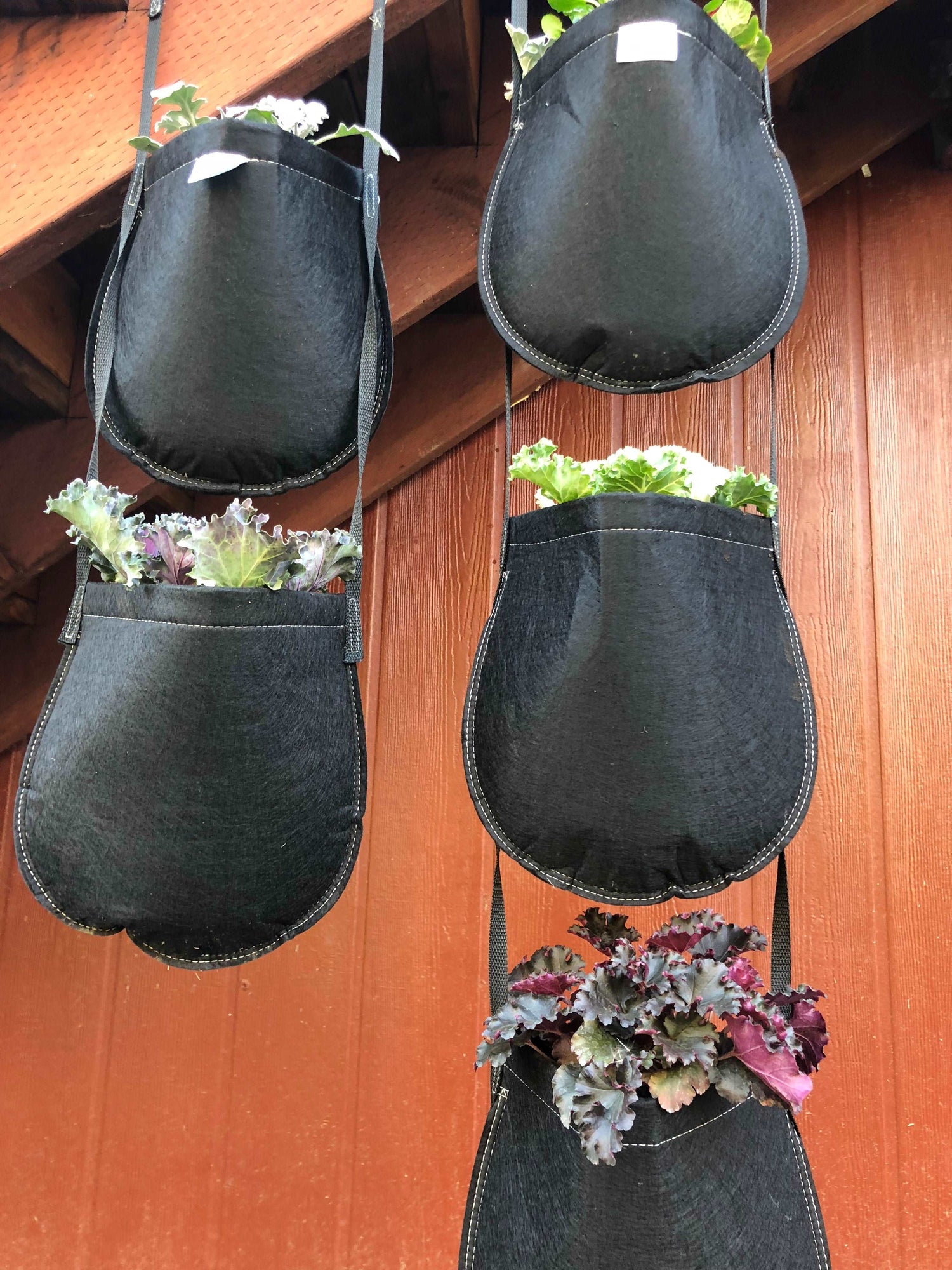 GeoPot Fabric Pot Hanging Garden geopot