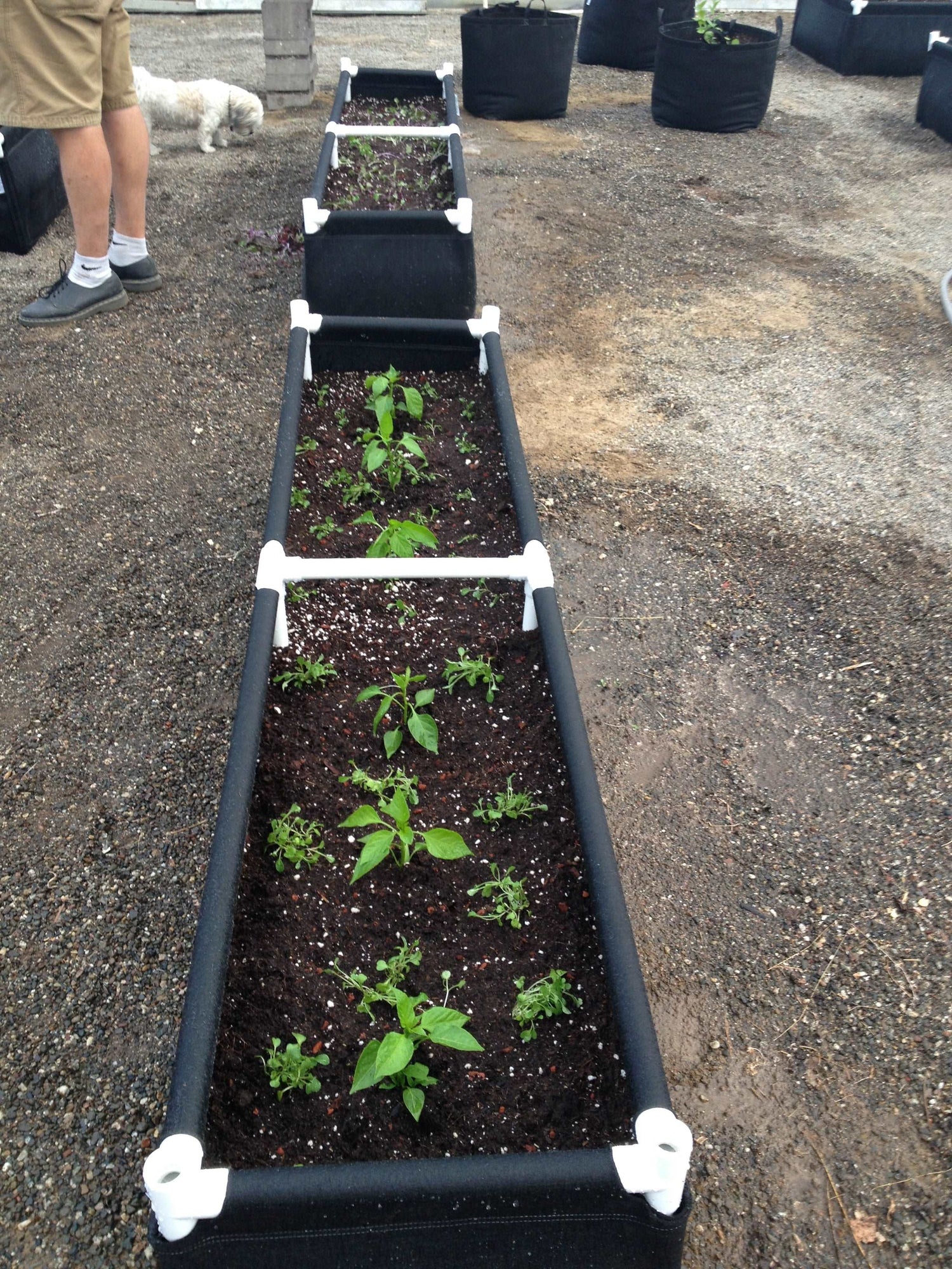 GeoPlanter Fabric Raised Beds geopot
