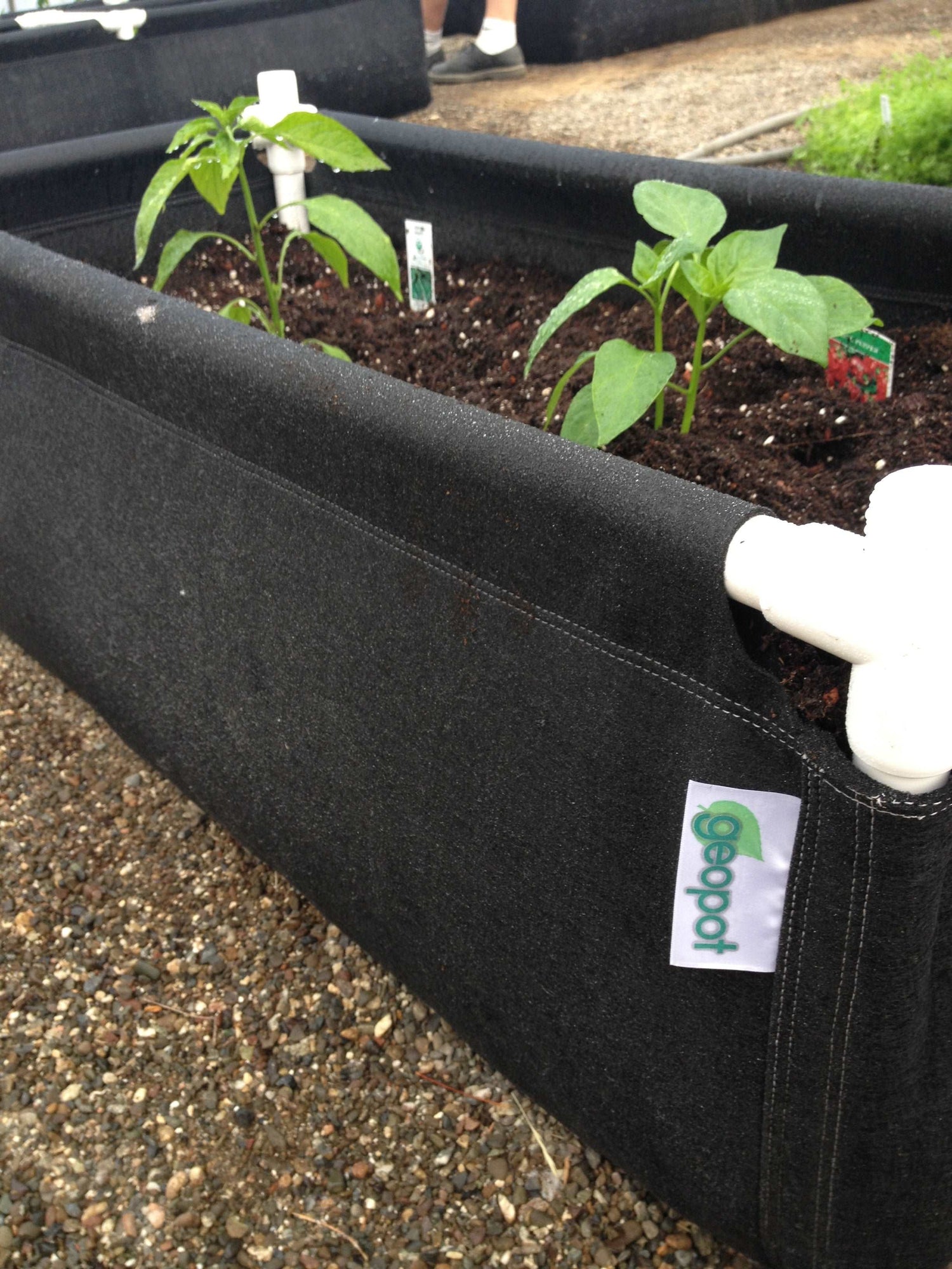 GeoPlanter Fabric Raised Beds geopot