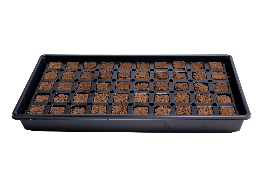 iHort 50 Cell Propagation Kit (No Dome) iHort