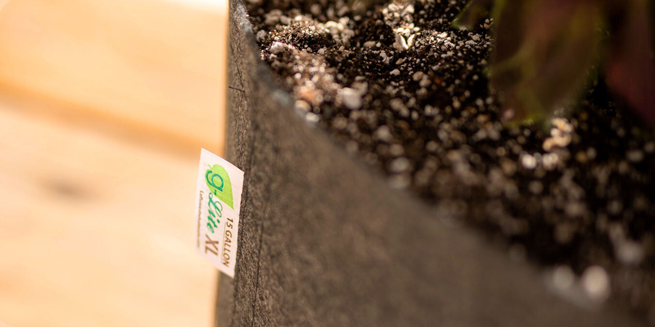 Lite It Up: Sturdy Fabric Pots for Growers on a Budget