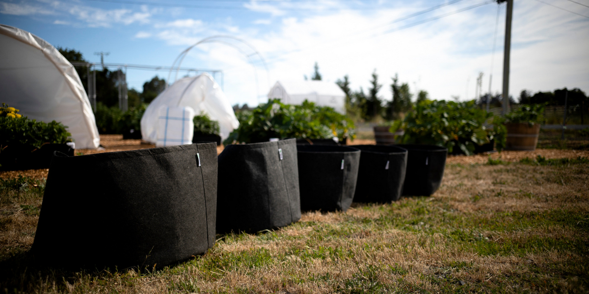 Prepare Your Garden Containers for Spring – Geopot