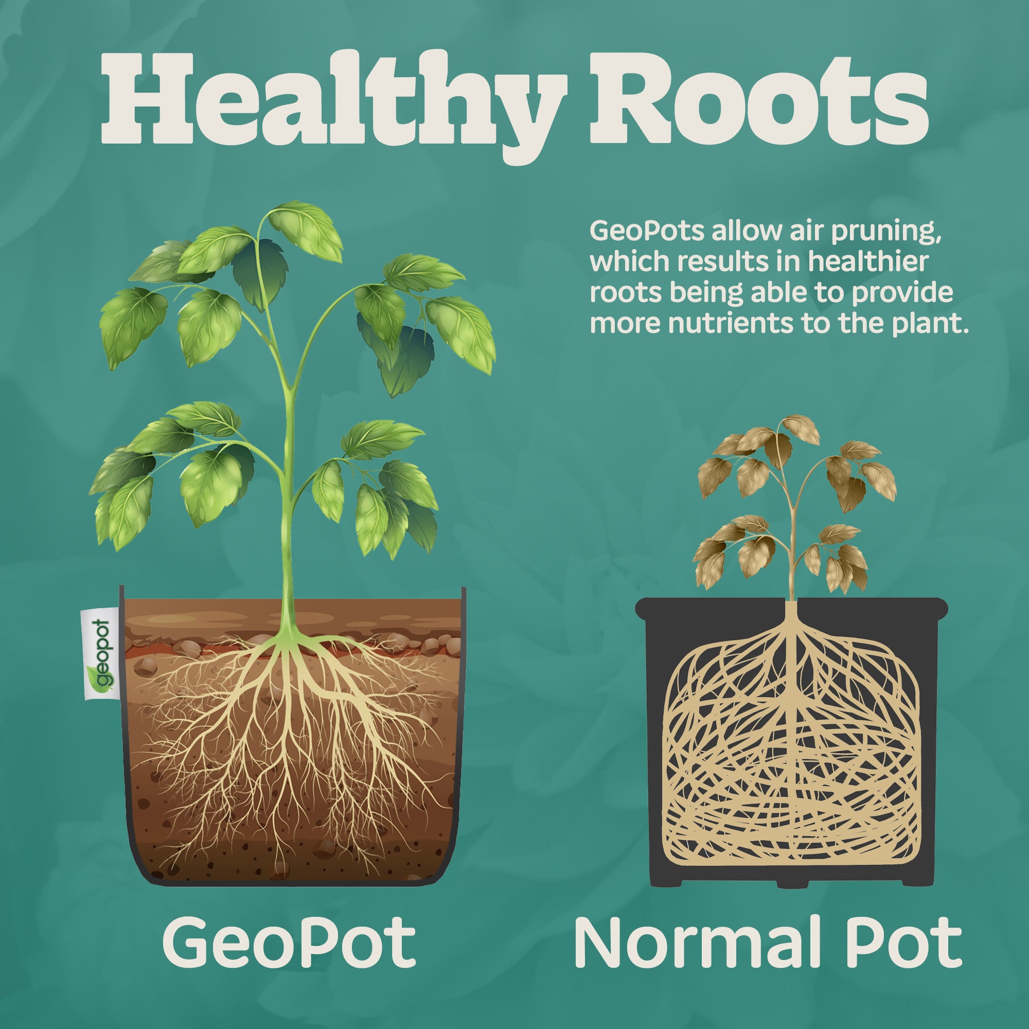 GeoPot Grow Bags - Black