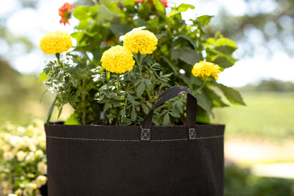 G-Lite Fabric Pot with Handles