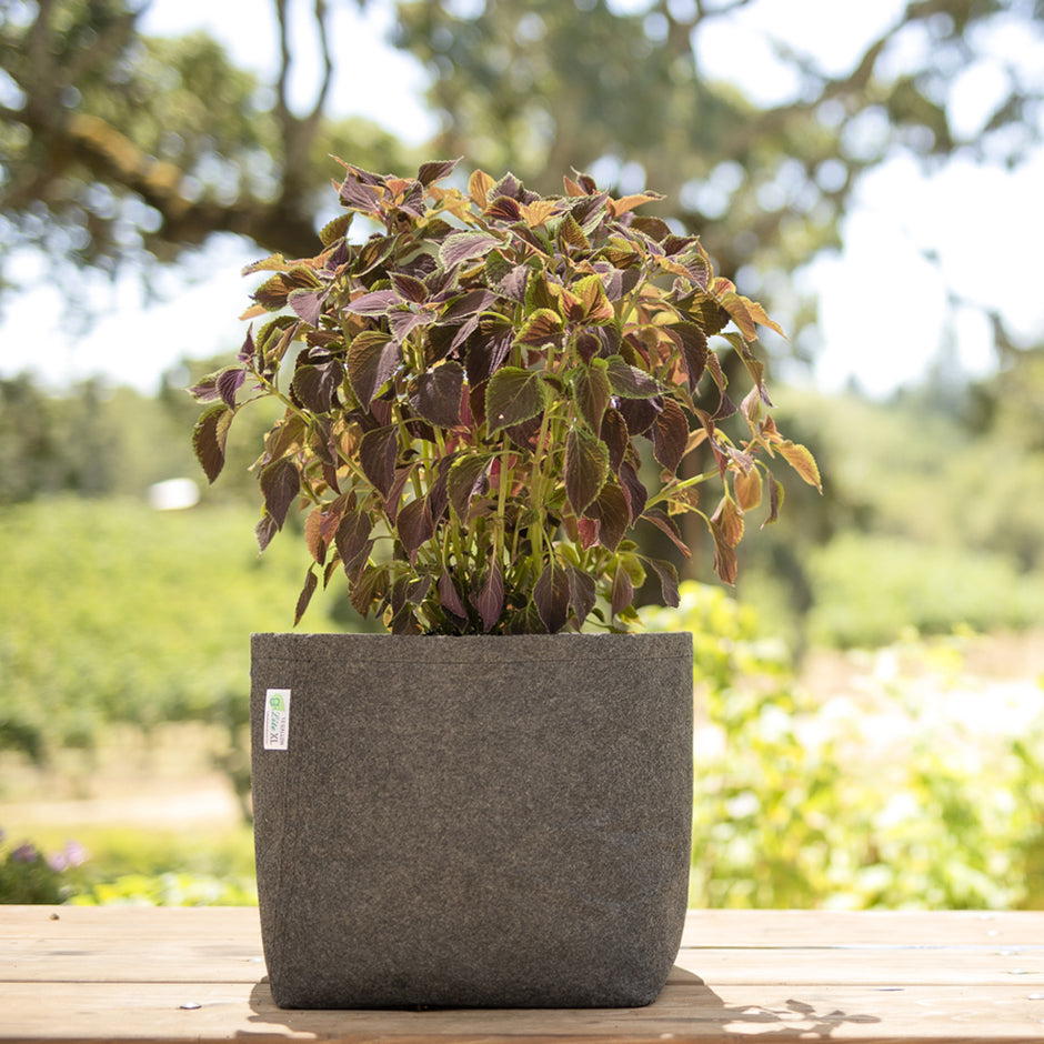 GeoPot | Fabric Grow Bags and Raised Beds – Geopot