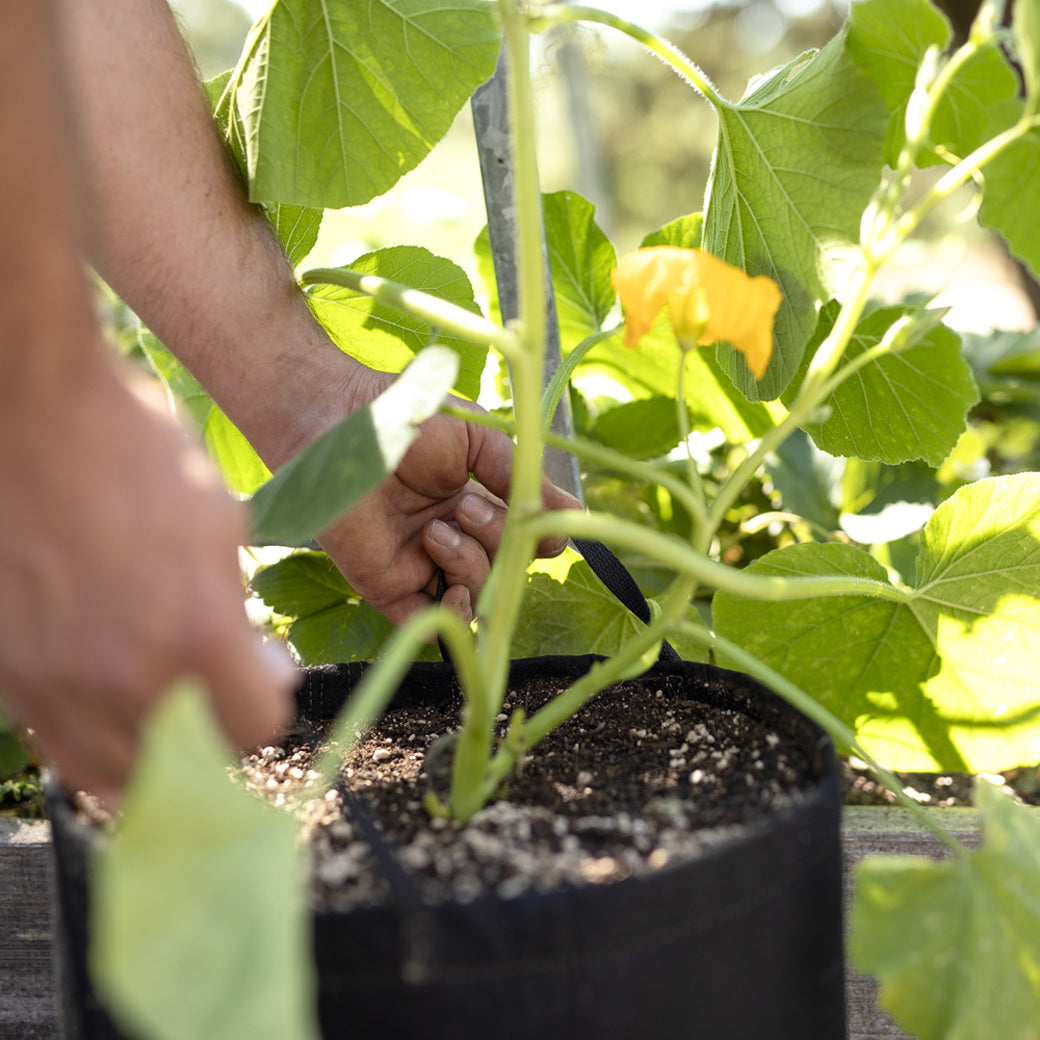 GeoPot Grow Bags with Handles - Black